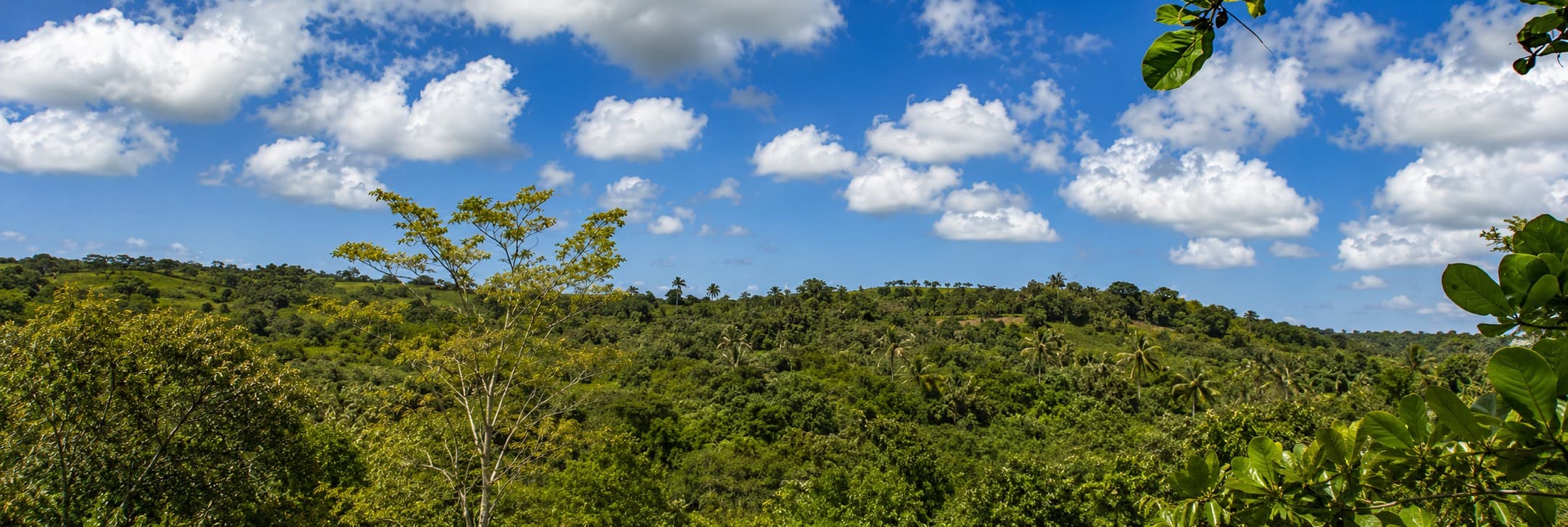 Colinas verdes y montañas de Nisibón vistas desde Amani